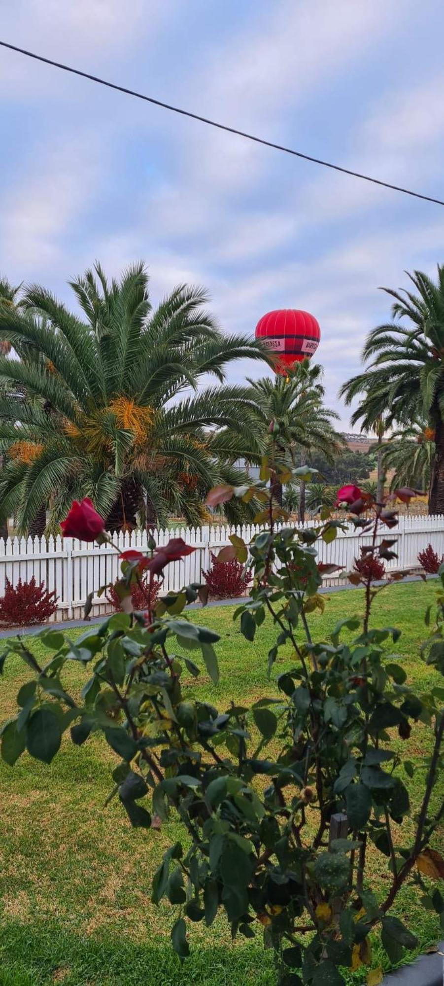 The Cottage At Seppeltsfield, Barossa Valley Екстериор снимка